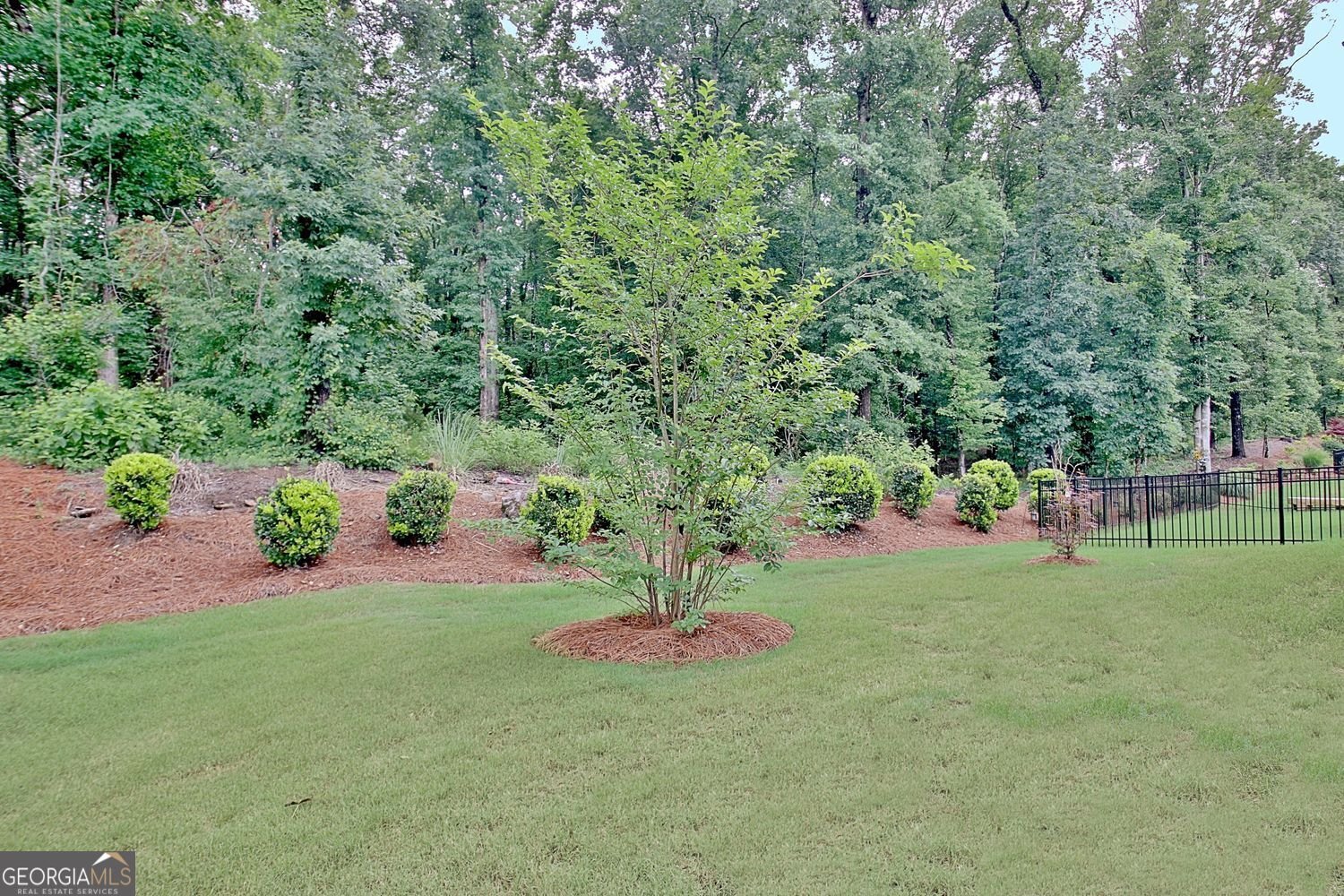 432 Silverbell Court Peachtree City - Photo 68