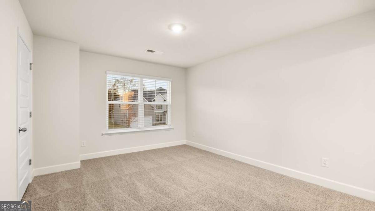 55 Blufton Court Senoia - Photo 27