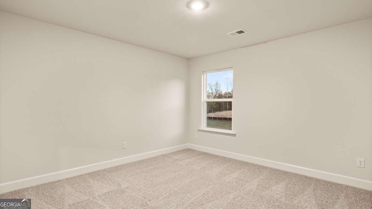 55 Blufton Court Senoia - Photo 30