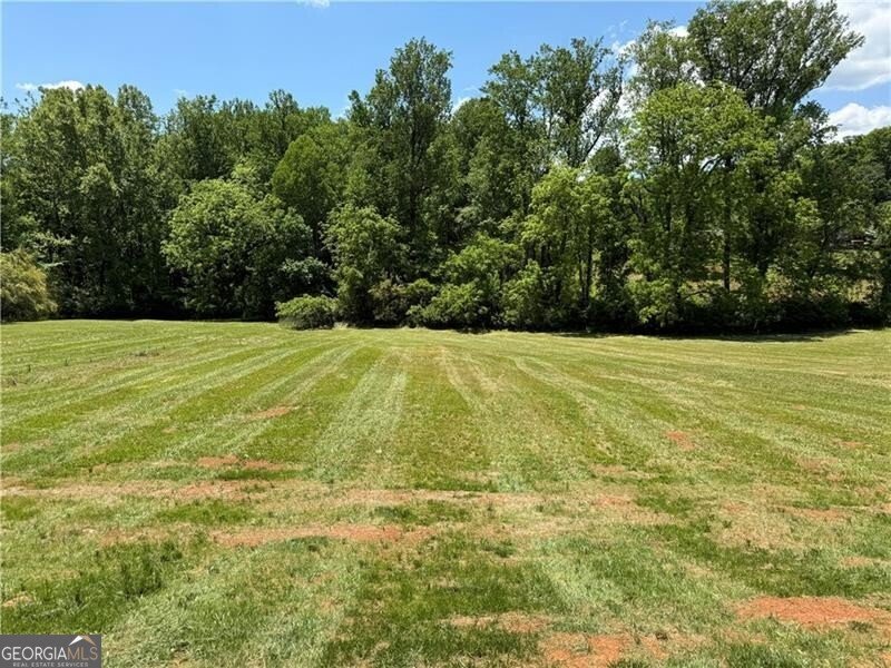 50 Charlies Way Dahlonega - Photo 11