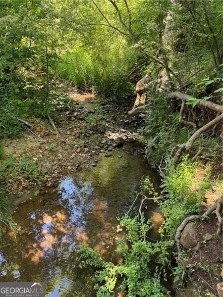 50 Charlies Way Dahlonega - Photo 12