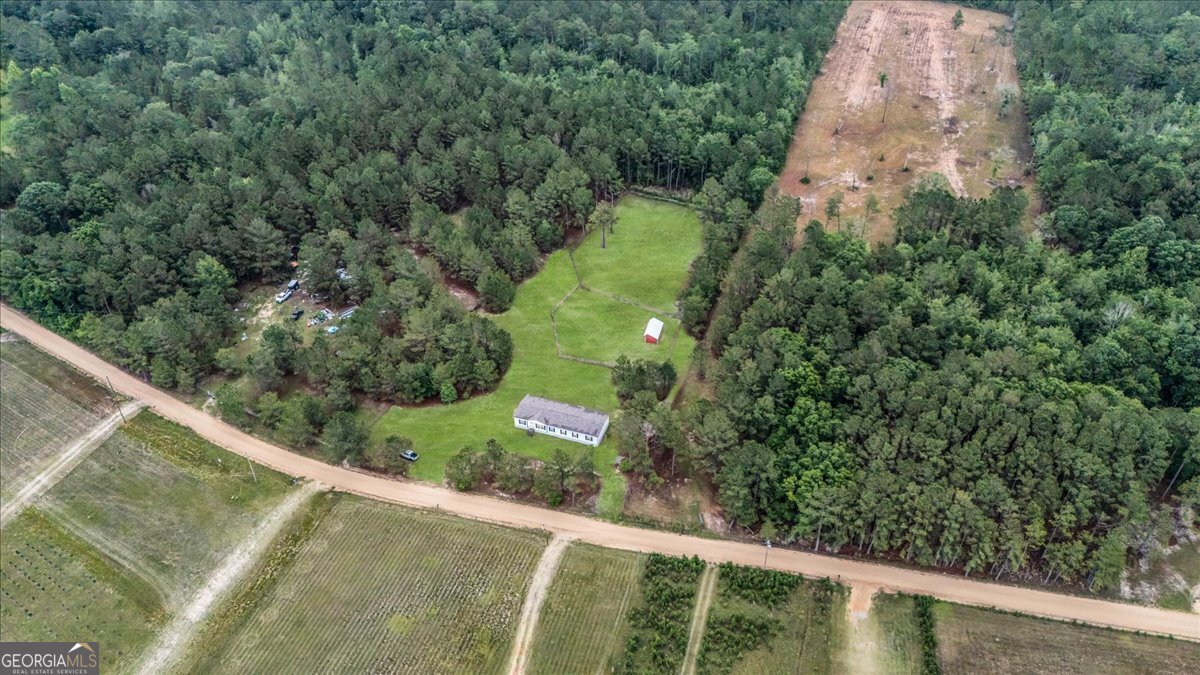 750 S T Morris Road Ludowici - Photo 38