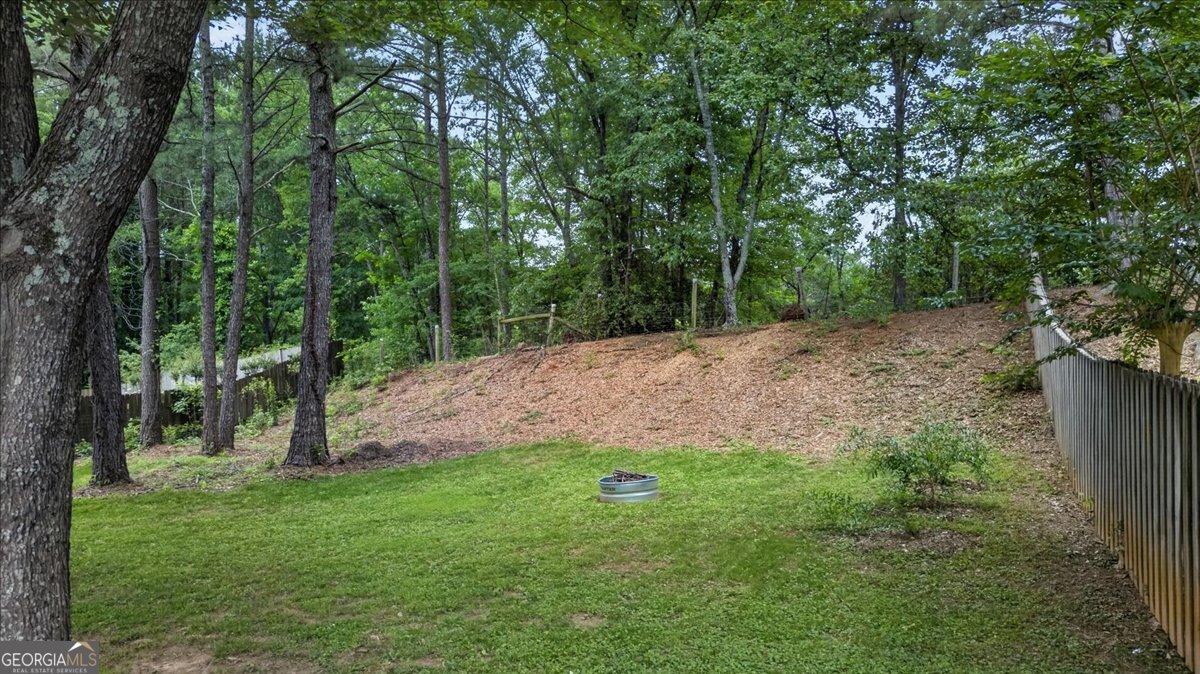 535 Matthew Drive Canton - Photo 57