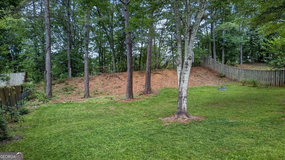 535 Matthew Drive Canton - Photo 61