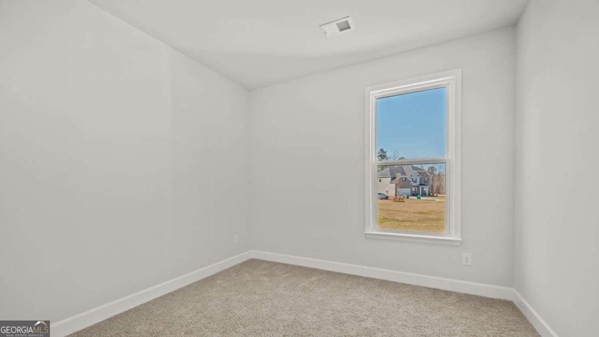65 Blufton Court Senoia - Photo 16