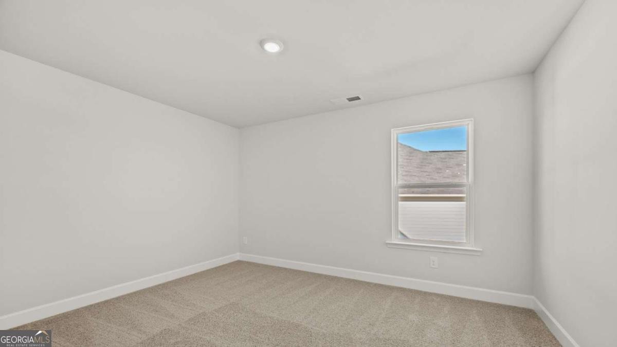 65 Blufton Court Senoia - Photo 22