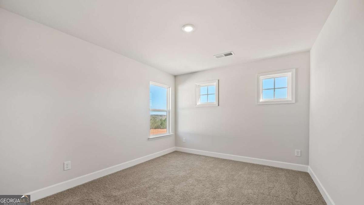 65 Blufton Court Senoia - Photo 24