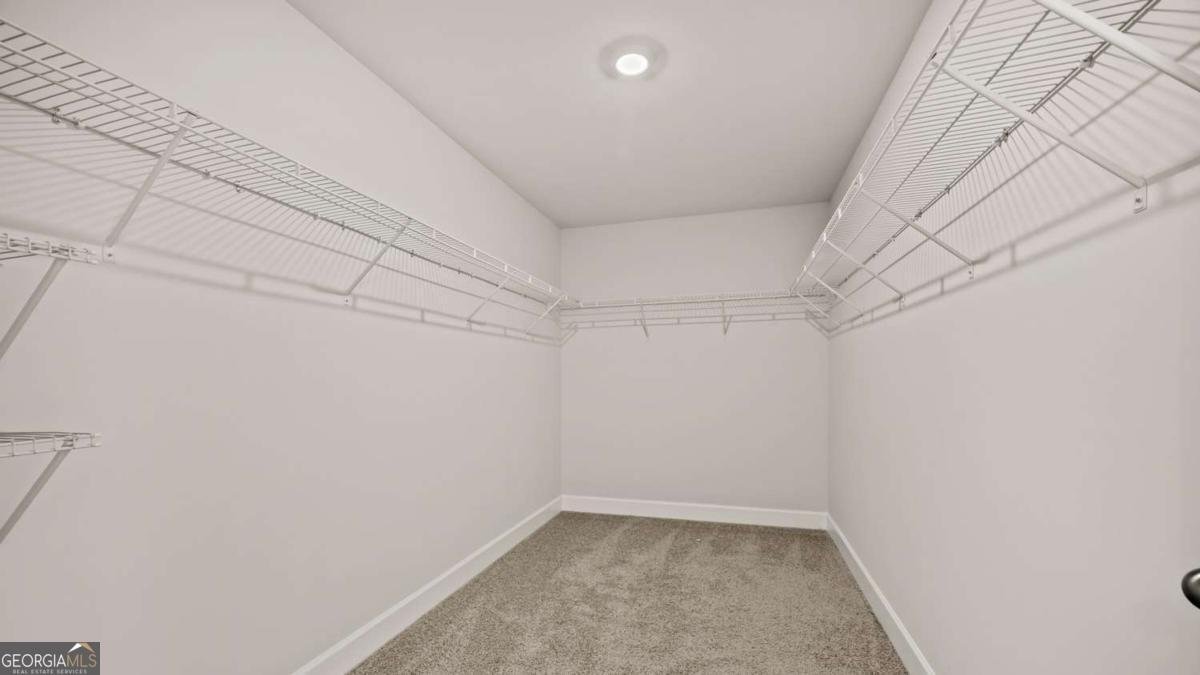 65 Blufton Court Senoia - Photo 33