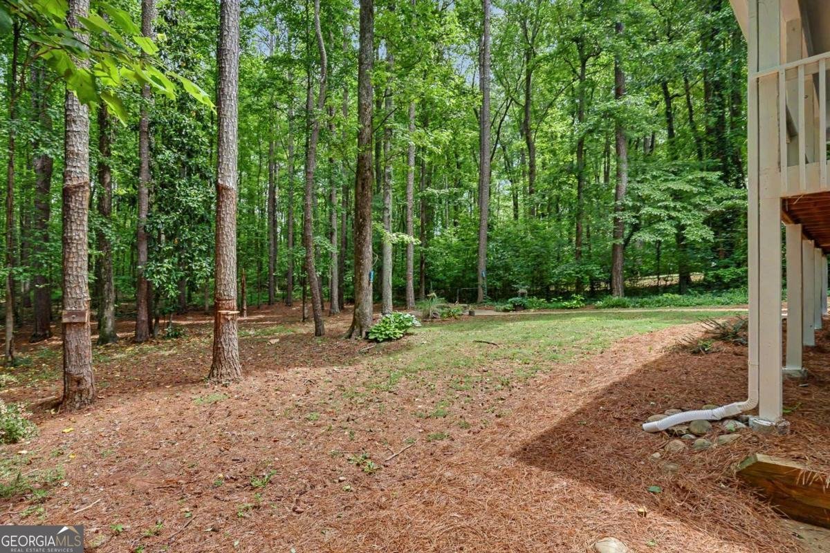 161 Dogwood Trail Jasper - Photo 50