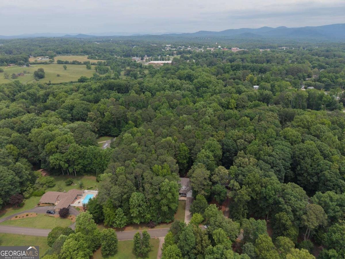 161 Dogwood Trail Jasper - Photo 54