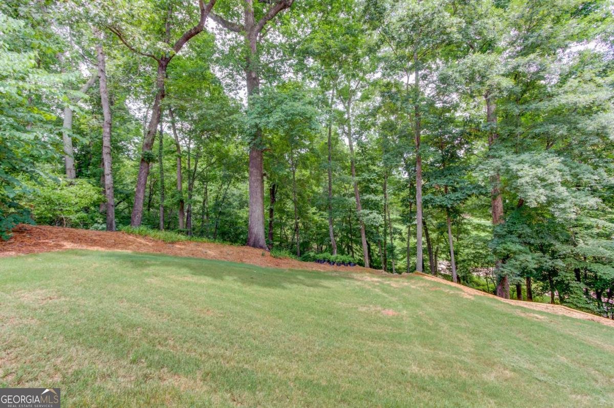 3160 Lakecrest Drive Dacula - Photo 41