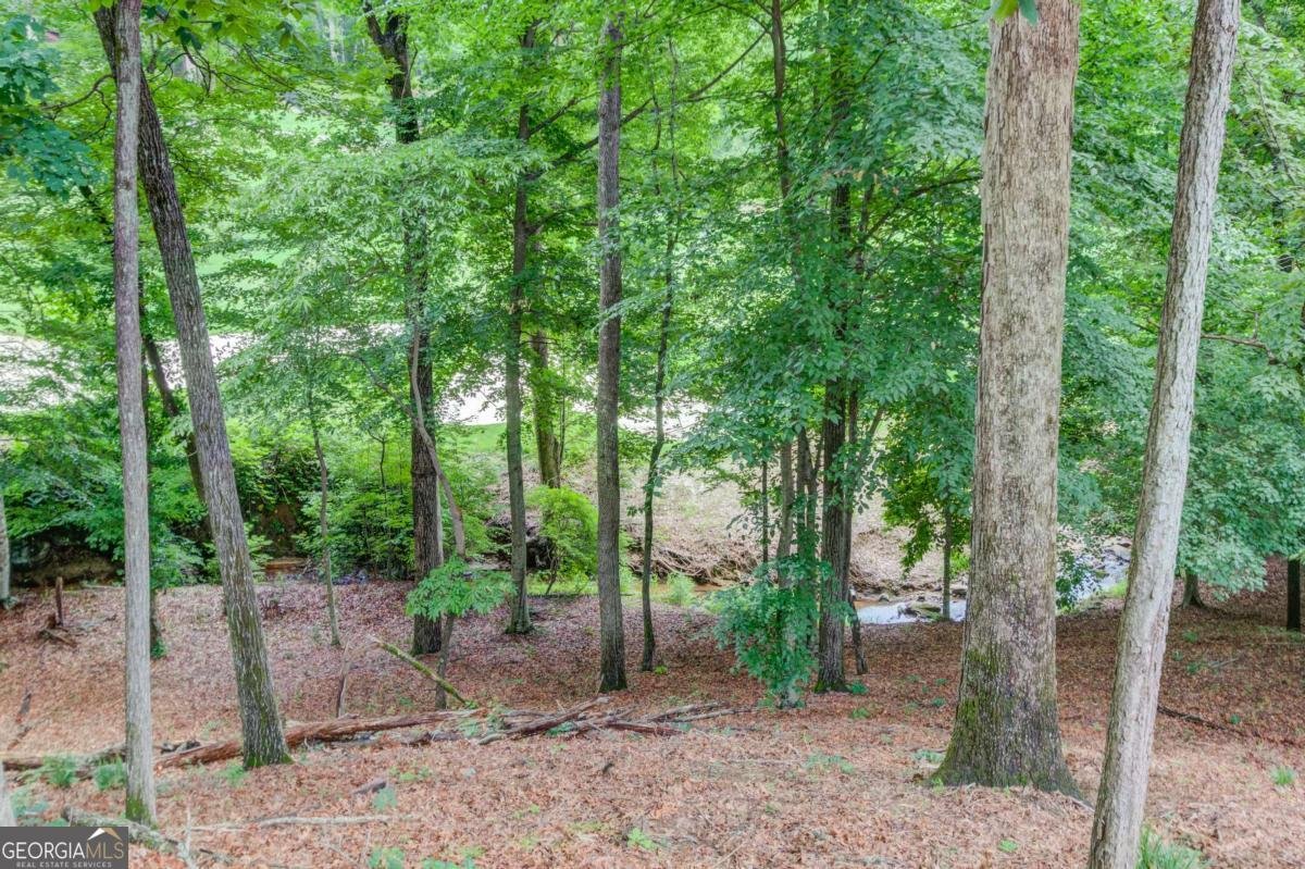 3160 Lakecrest Drive Dacula - Photo 46