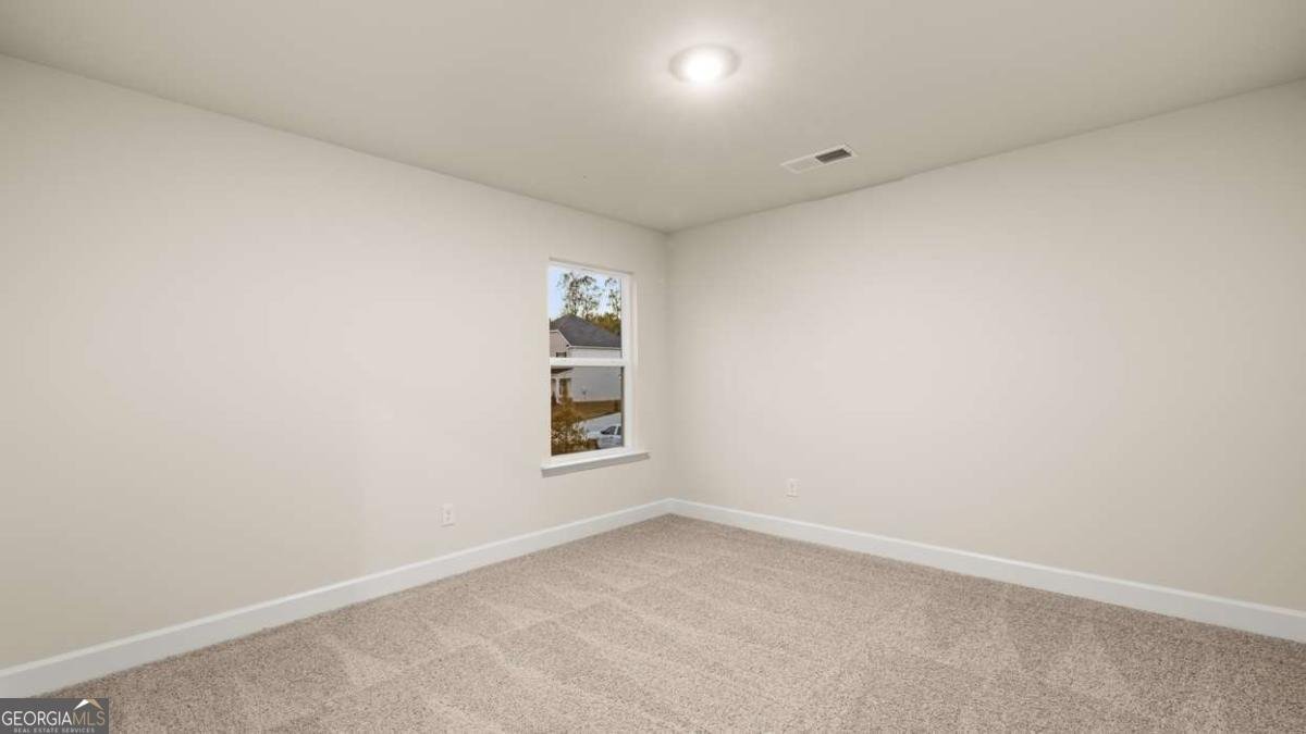 74 Blufton Court Senoia - Photo 32