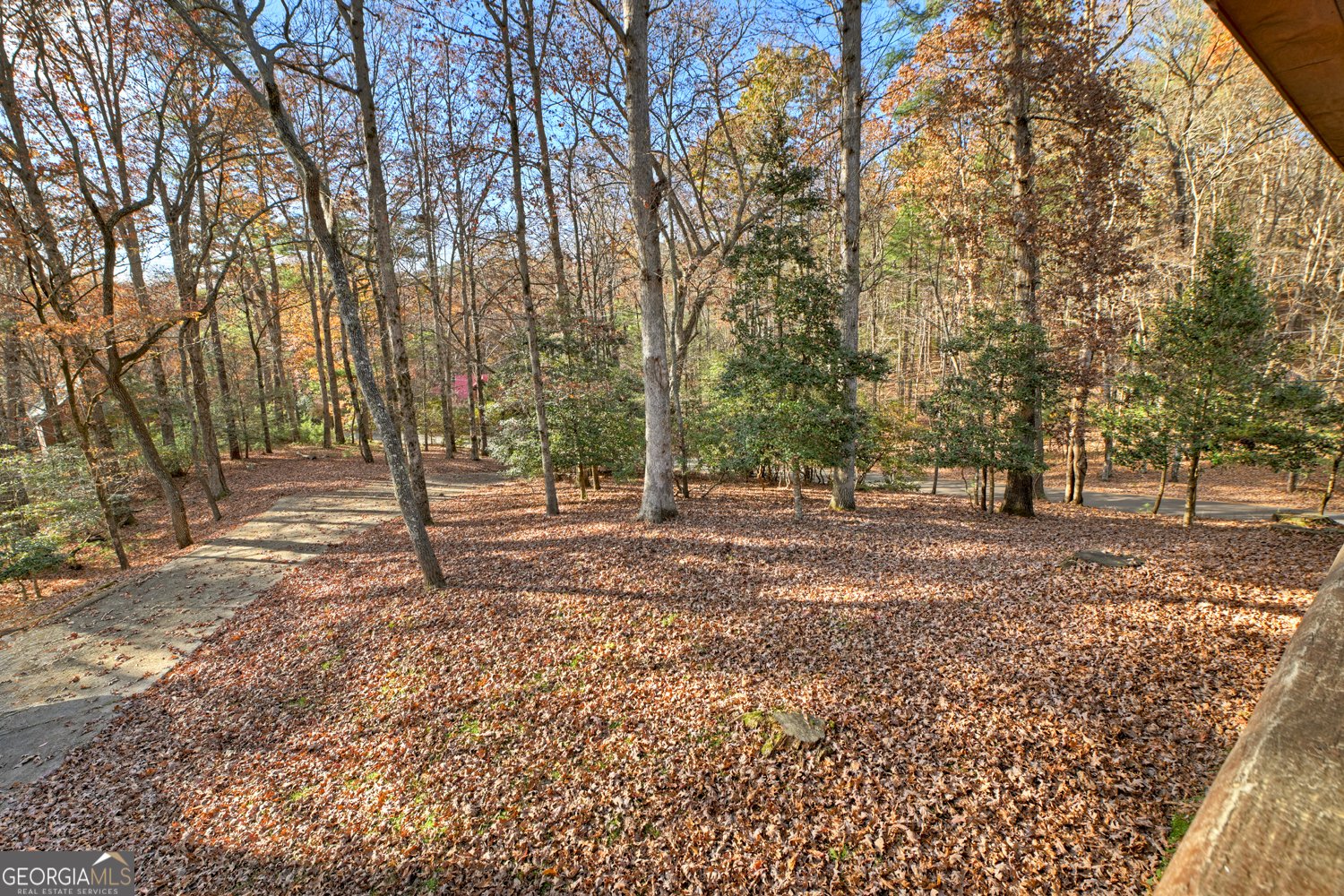 200 Lookiba Lane Ellijay - Photo 6