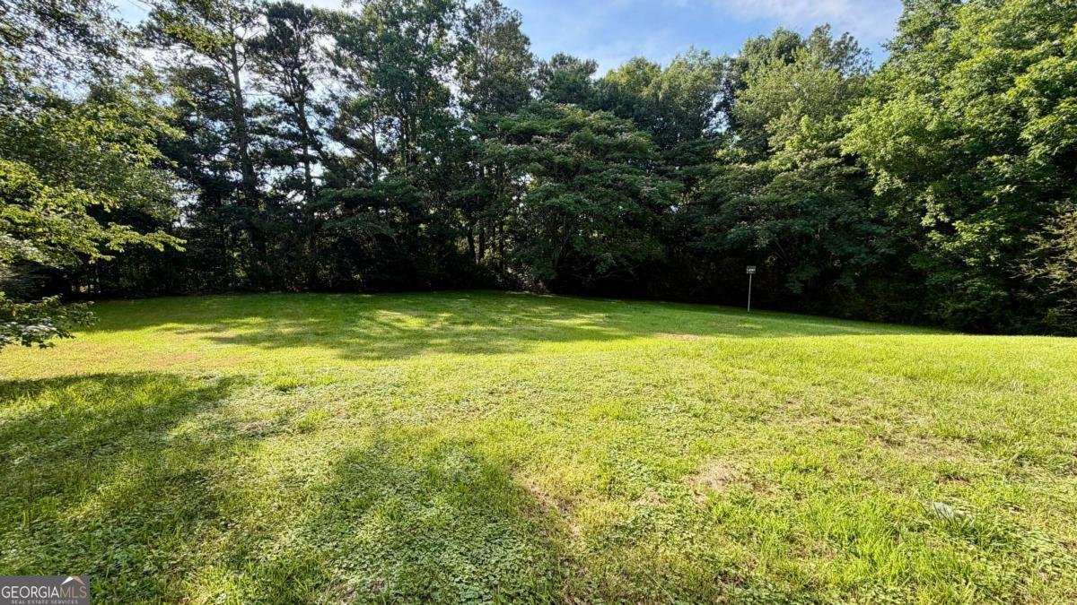 1477 Highway 100 Bowdon - Photo 24