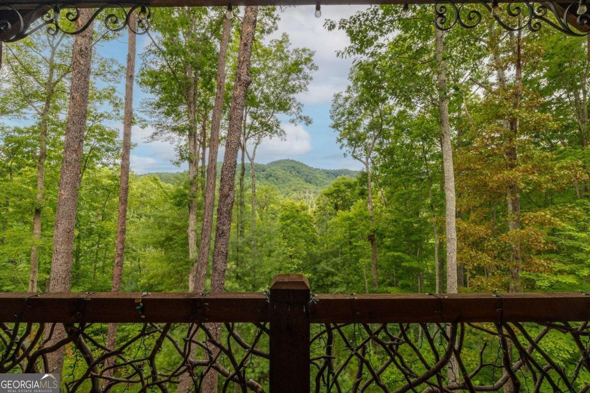 101 Heights Overlook Blue Ridge - Photo 43