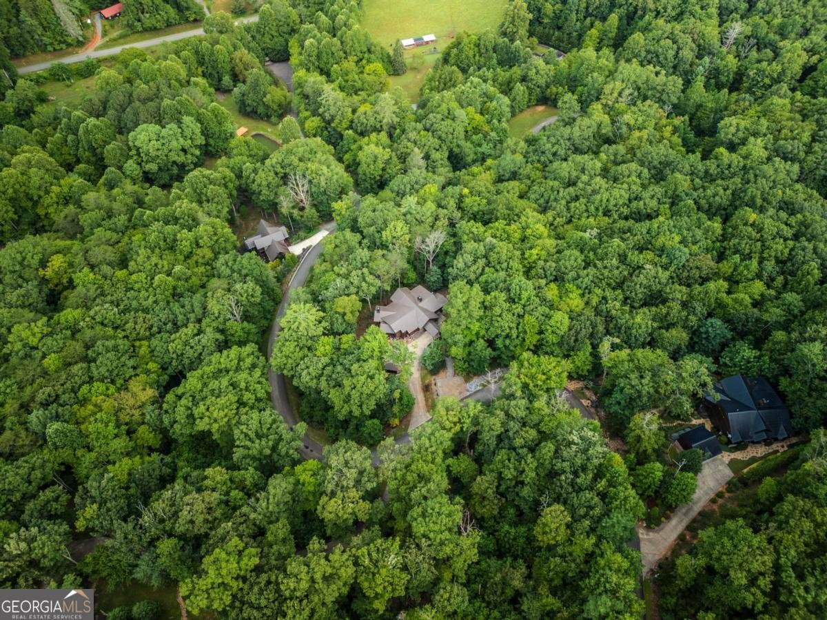 101 Heights Overlook Blue Ridge - Photo 48