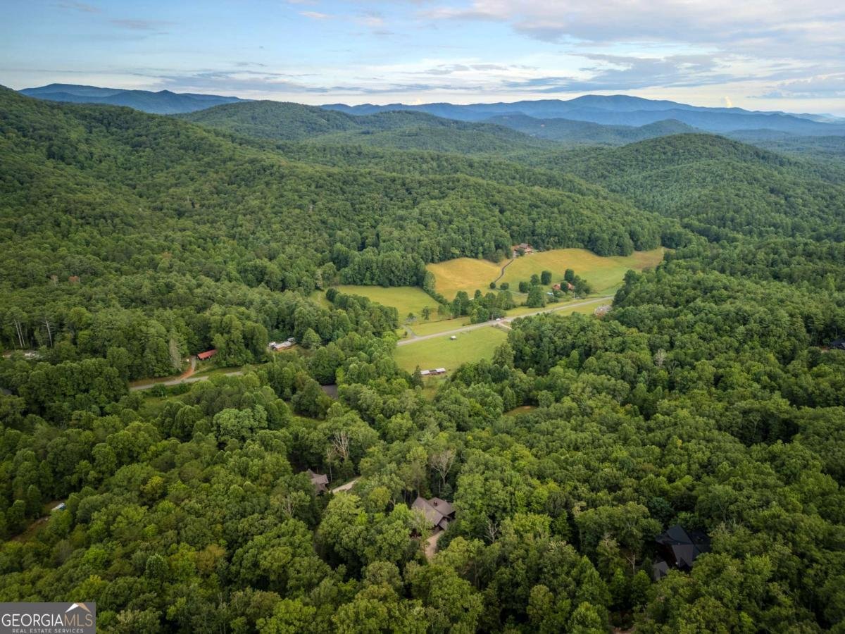 101 Heights Overlook Blue Ridge - Photo 49