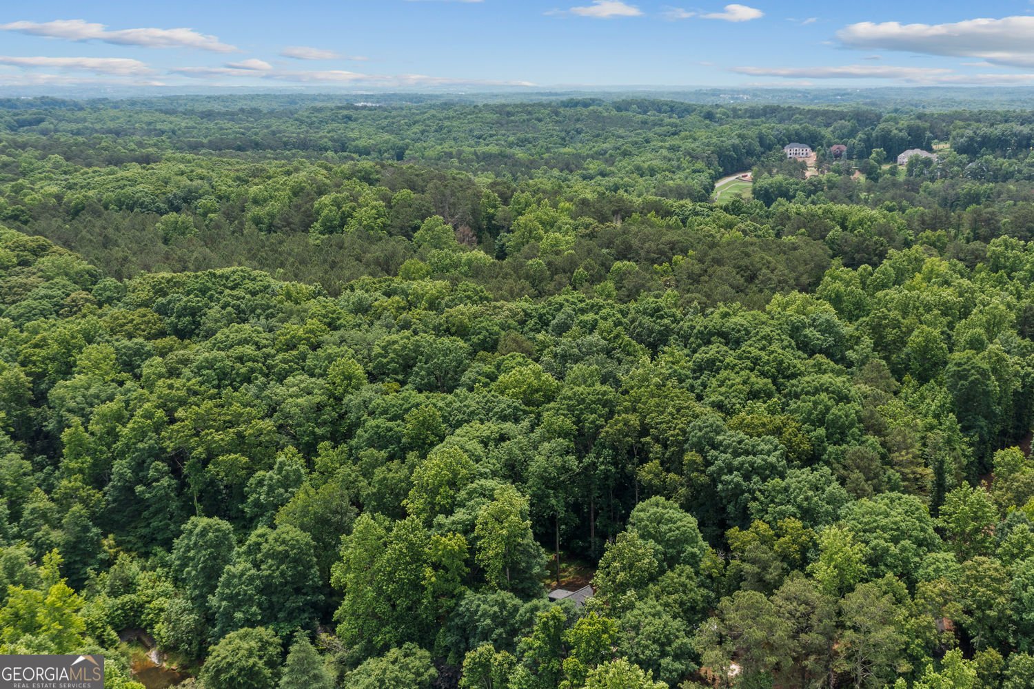 35 Pruitt Road Alpharetta - Photo 42