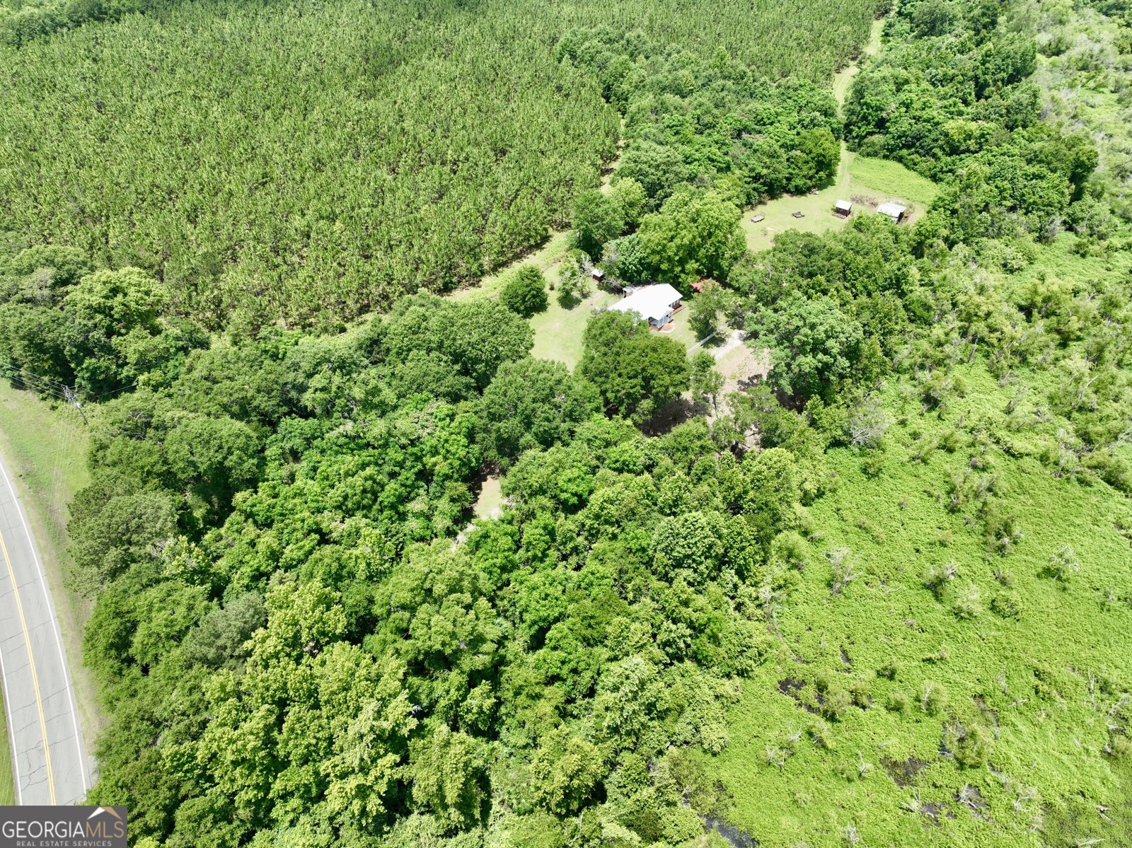 1351 Highway 26 Hawkinsville - Photo 37