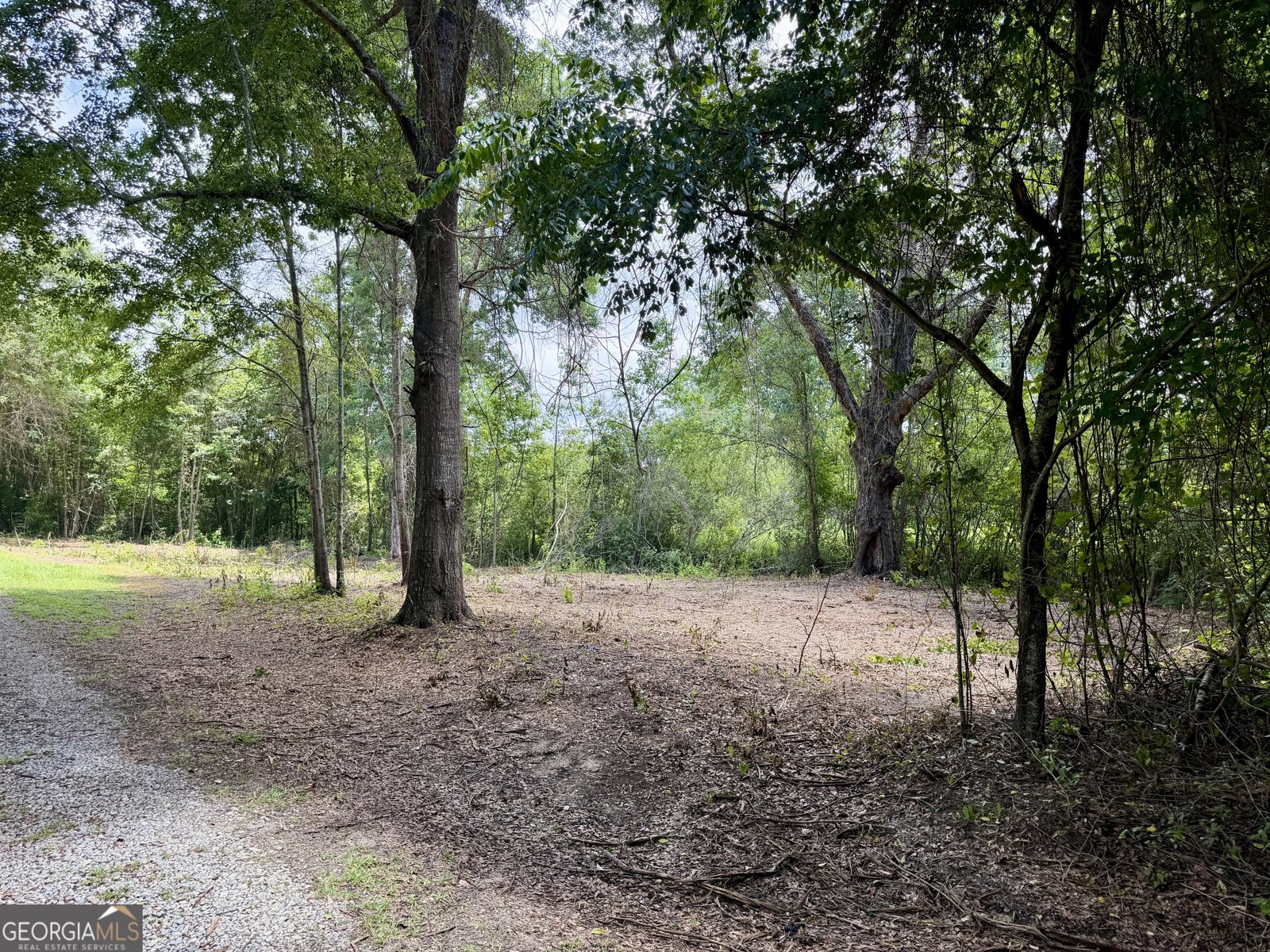 1351 Highway 26 Hawkinsville - Photo 41