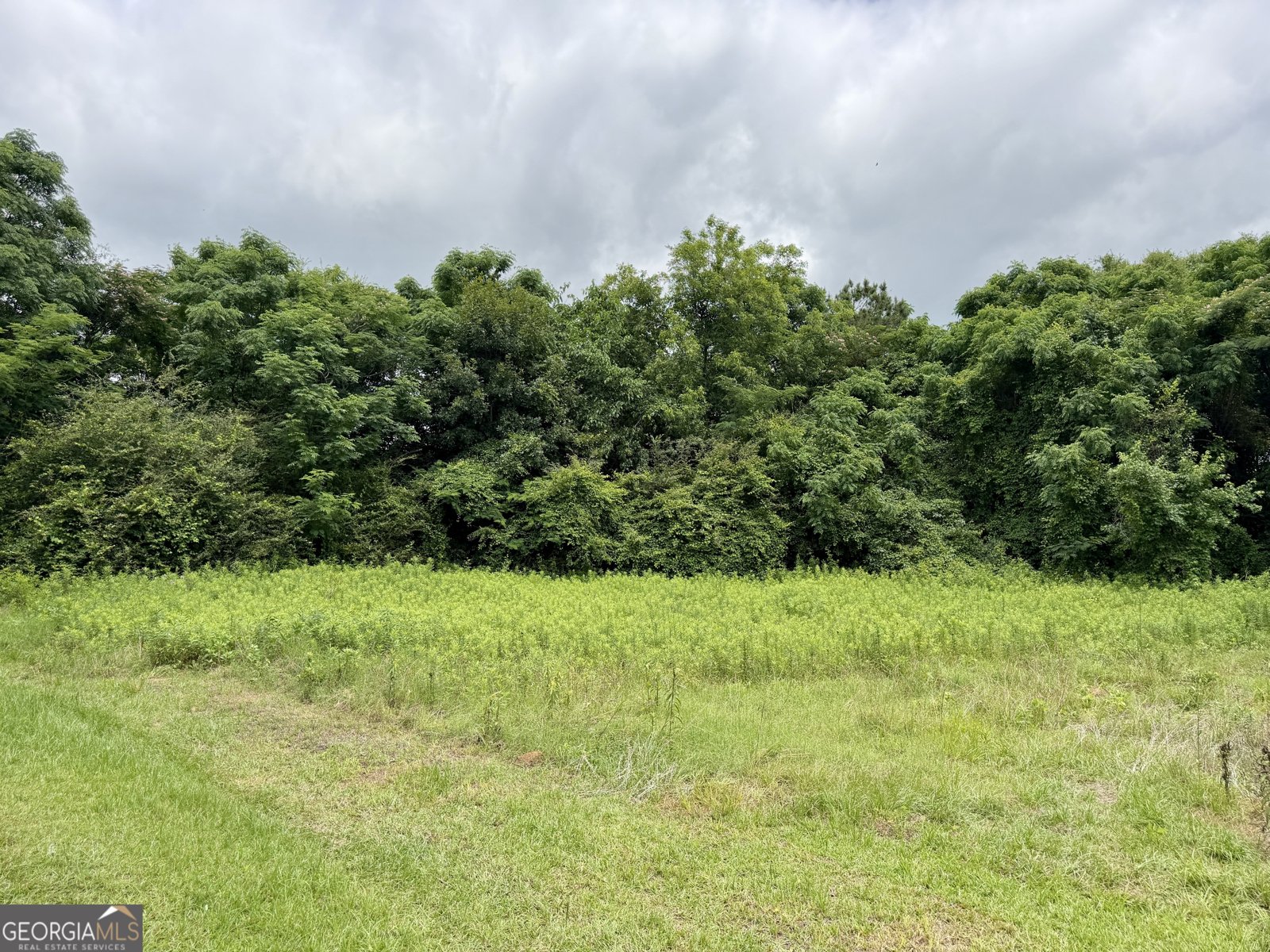 1351 Highway 26 Hawkinsville - Photo 44