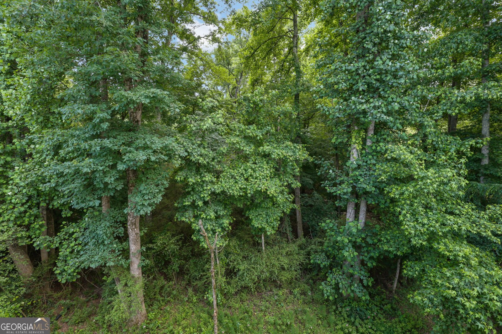 4195 Mossy Lane Cumming - Photo 37