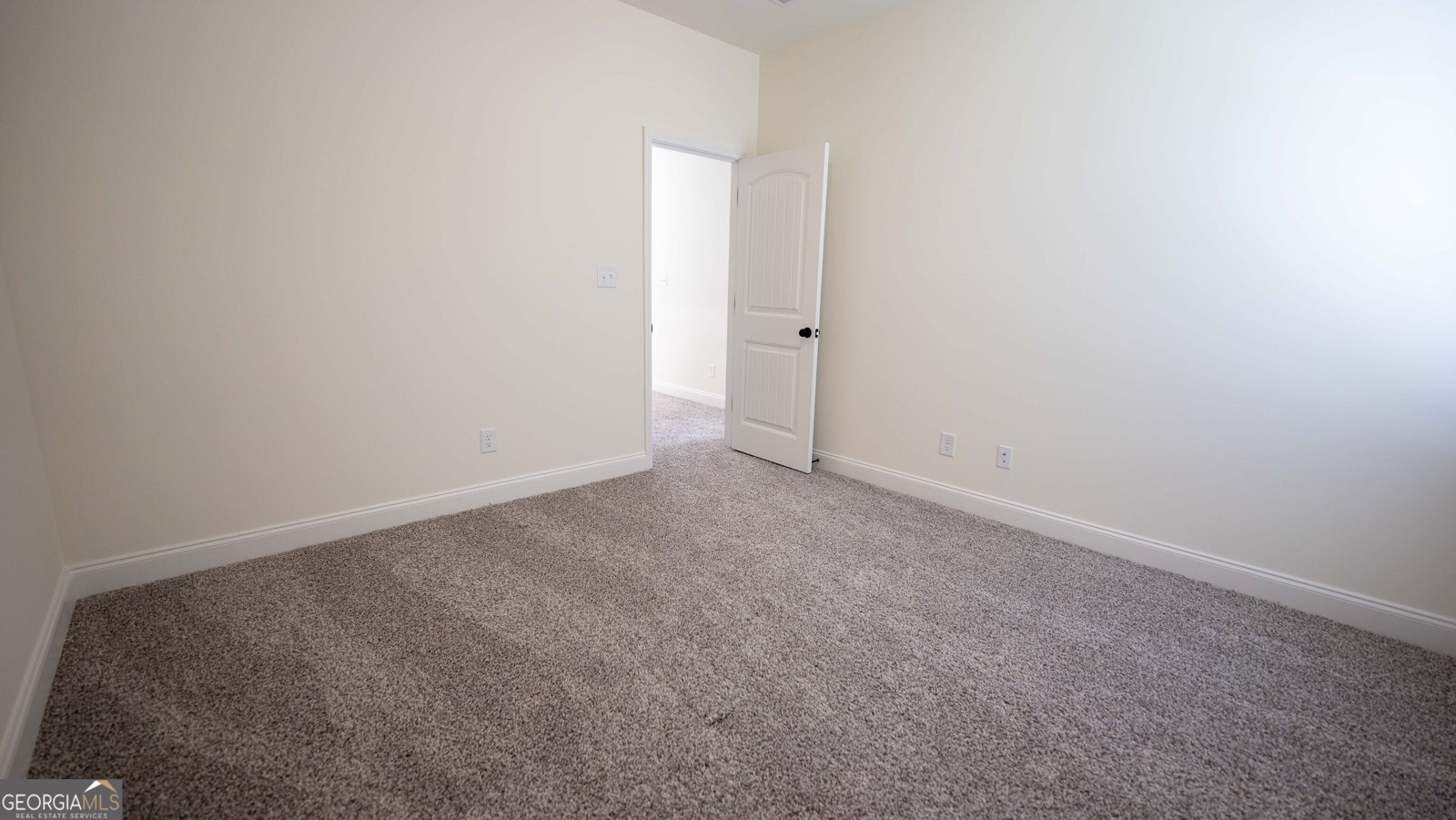 126 Bluecoat Trail Byron - Photo 34
