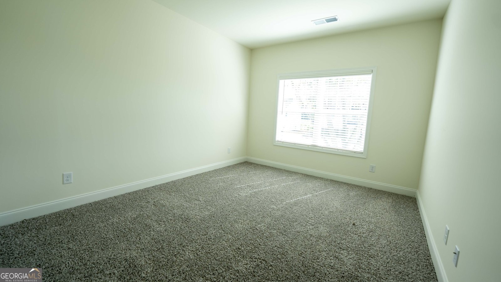130 Bluecoat Trail Byron - Photo 28