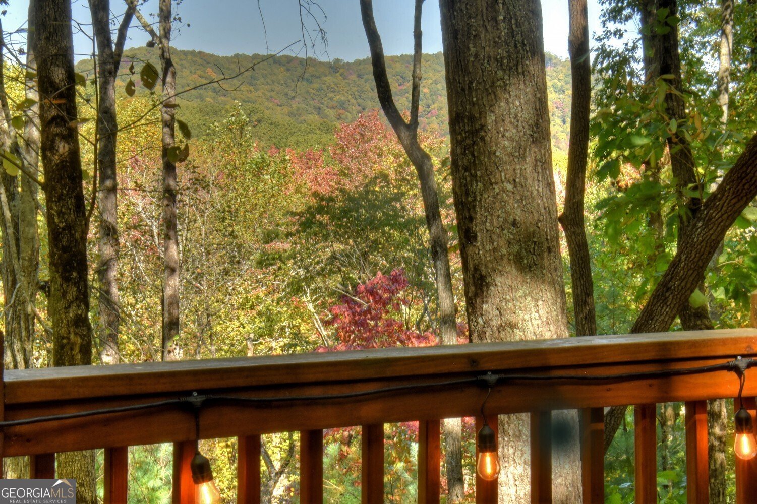 9 Joanna Court Cherry Log - Photo 28