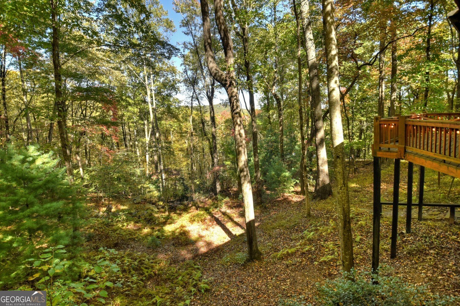9 Joanna Court Cherry Log - Photo 29