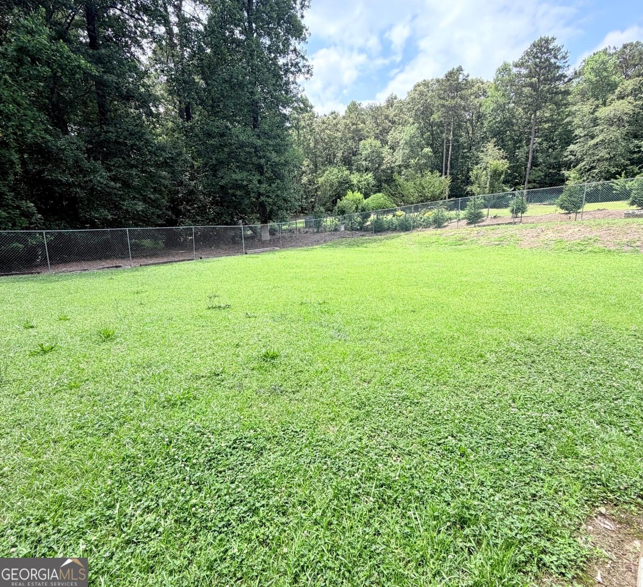 2904 Union Grove Road Conyers - Photo 69