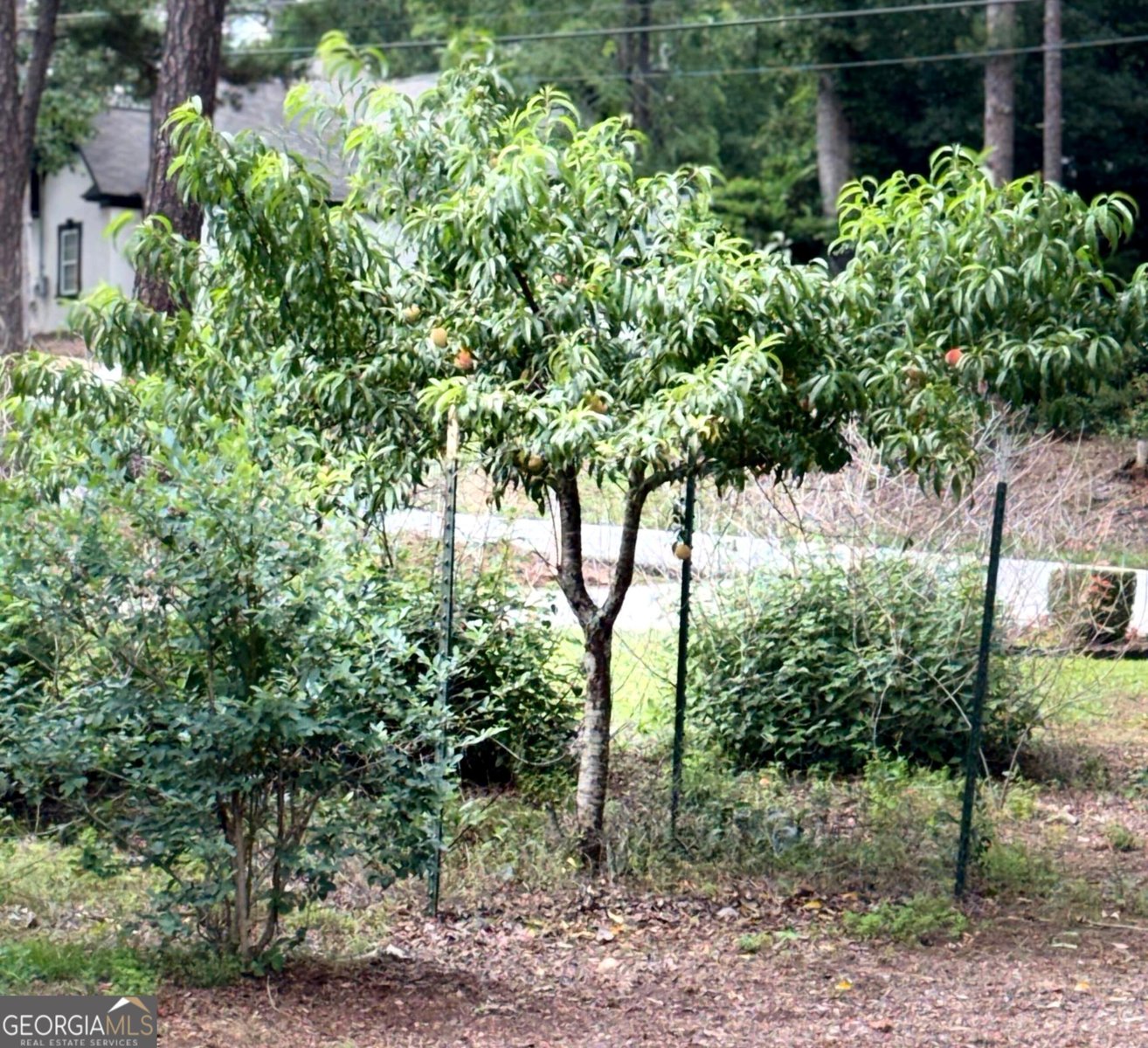 2904 Union Grove Road Conyers - Photo 73