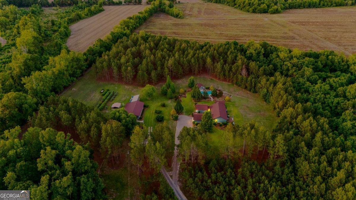 4236 Newton Road Millen - Photo 60
