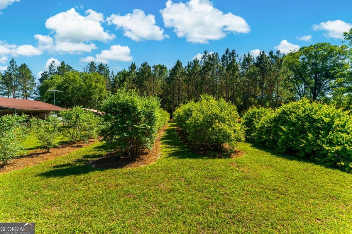 4236 Newton Road Millen - Photo 74