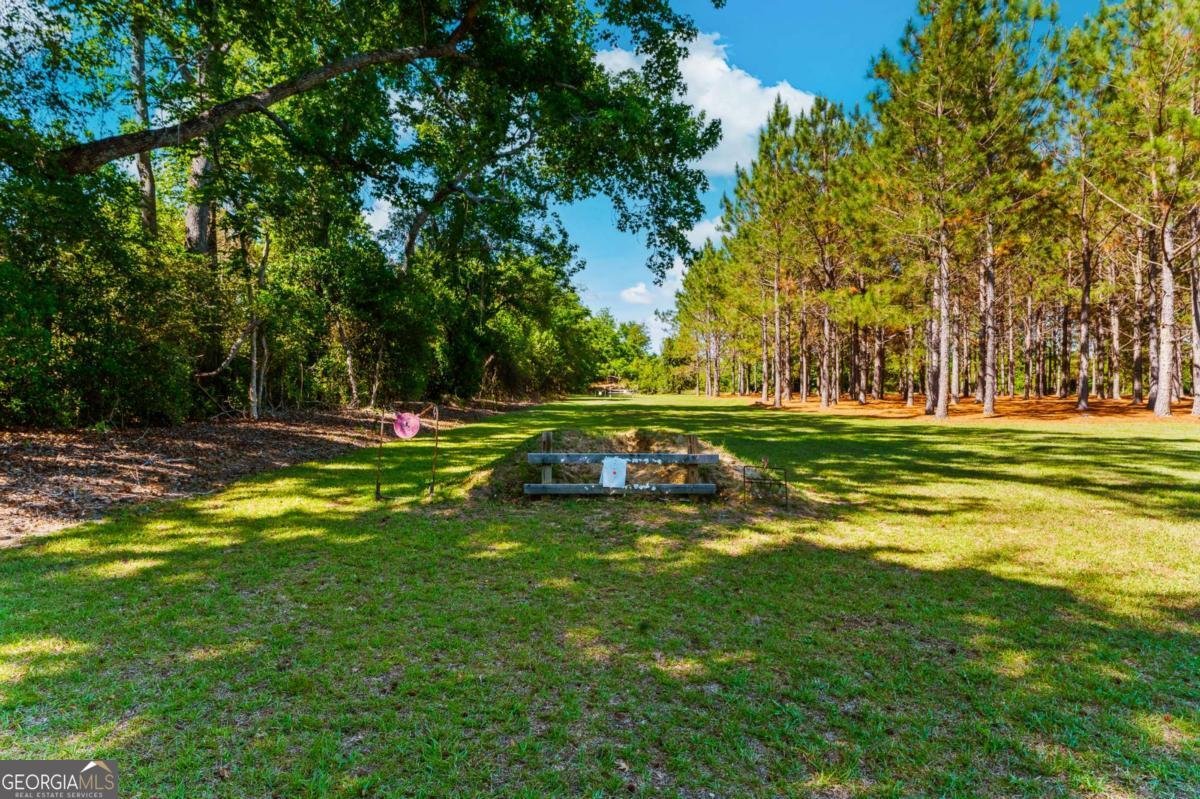 4236 Newton Road Millen - Photo 78