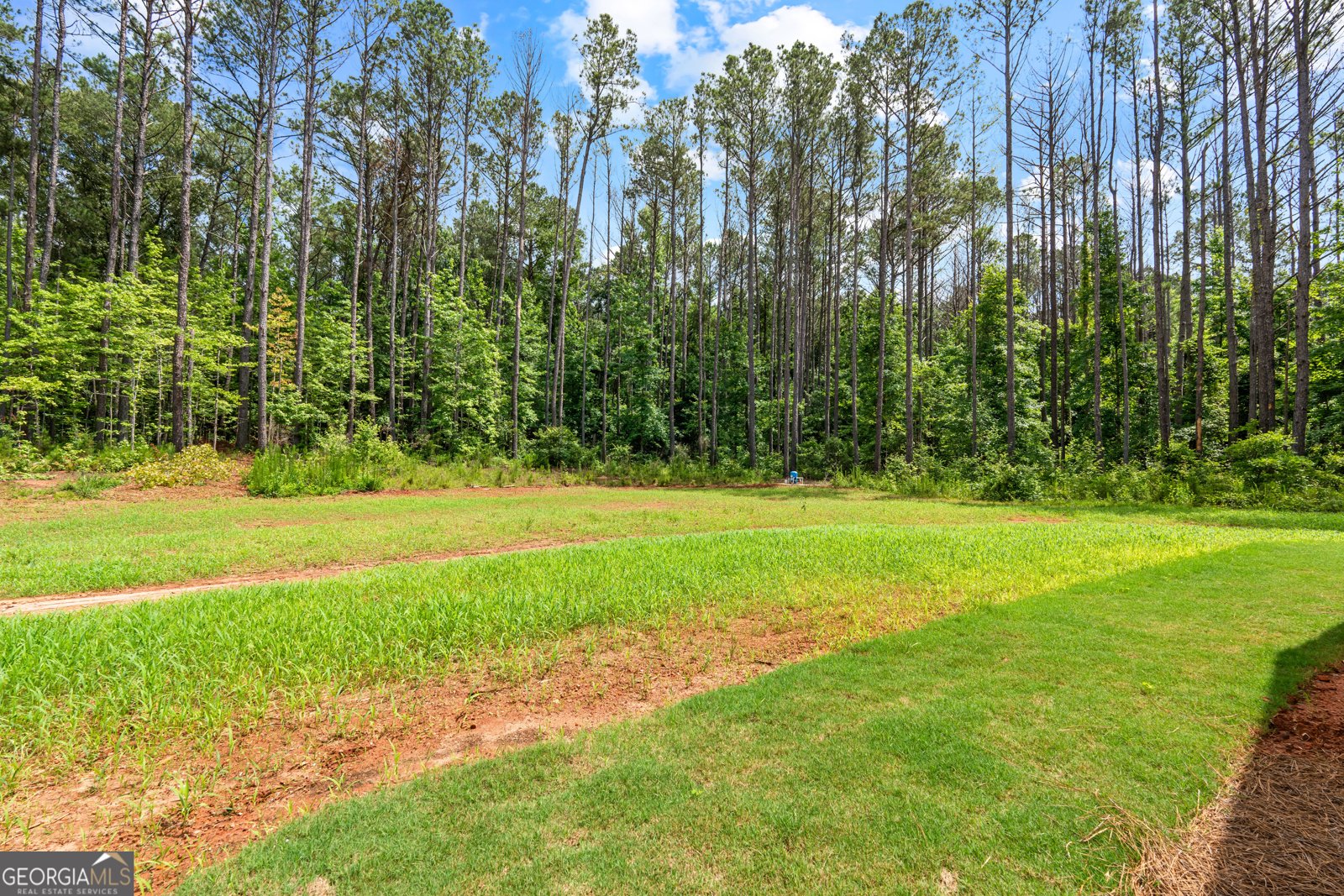 134 Coyote Circle Greenville - Photo 41