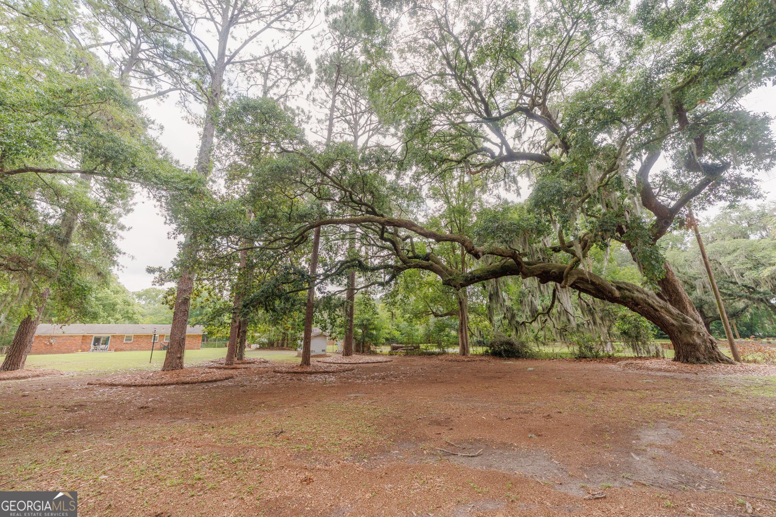 503 Dyches Drive Savannah - Photo 36