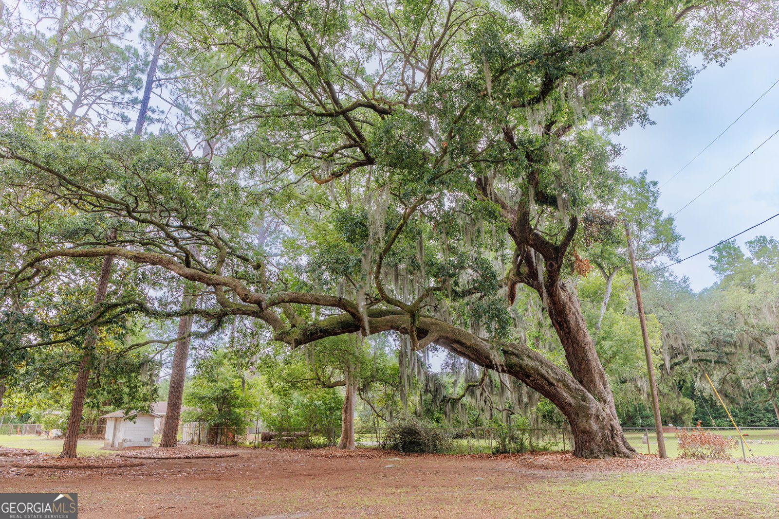 503 Dyches Drive Savannah - Photo 9