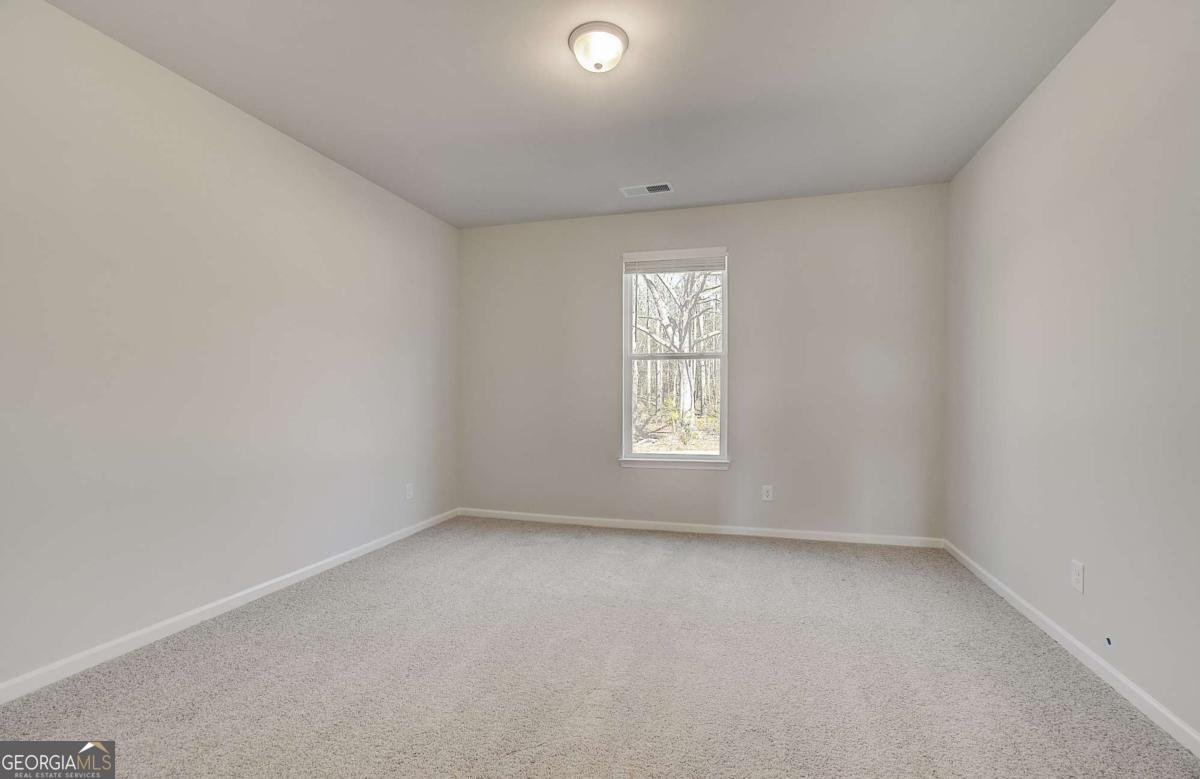 229 Ruthe Cove Locust Grove - Photo 10