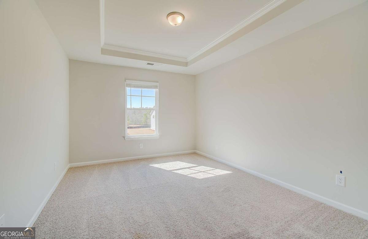 229 Ruthe Cove Locust Grove - Photo 21