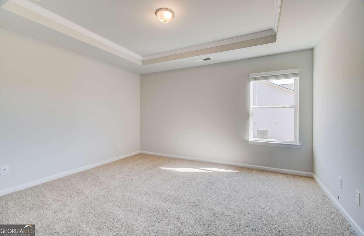 229 Ruthe Cove Locust Grove - Photo 25