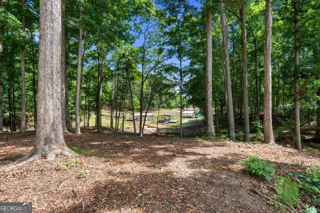 183 Lake Pointe Road Hartwell - Photo 65