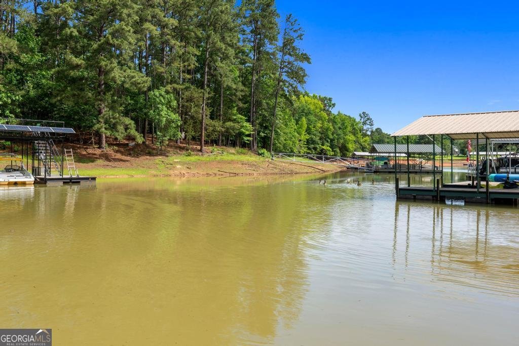 183 Lake Pointe Road Hartwell - Photo 68