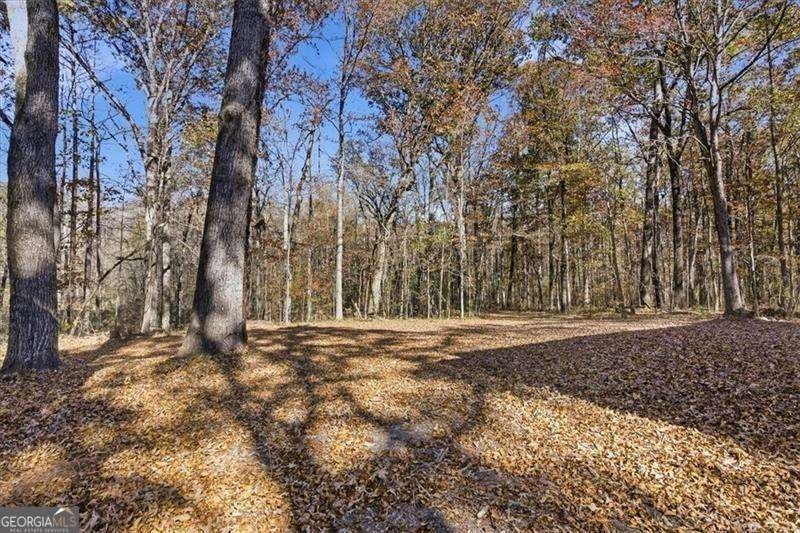 214 Bruce Road Douglasville - Photo 41