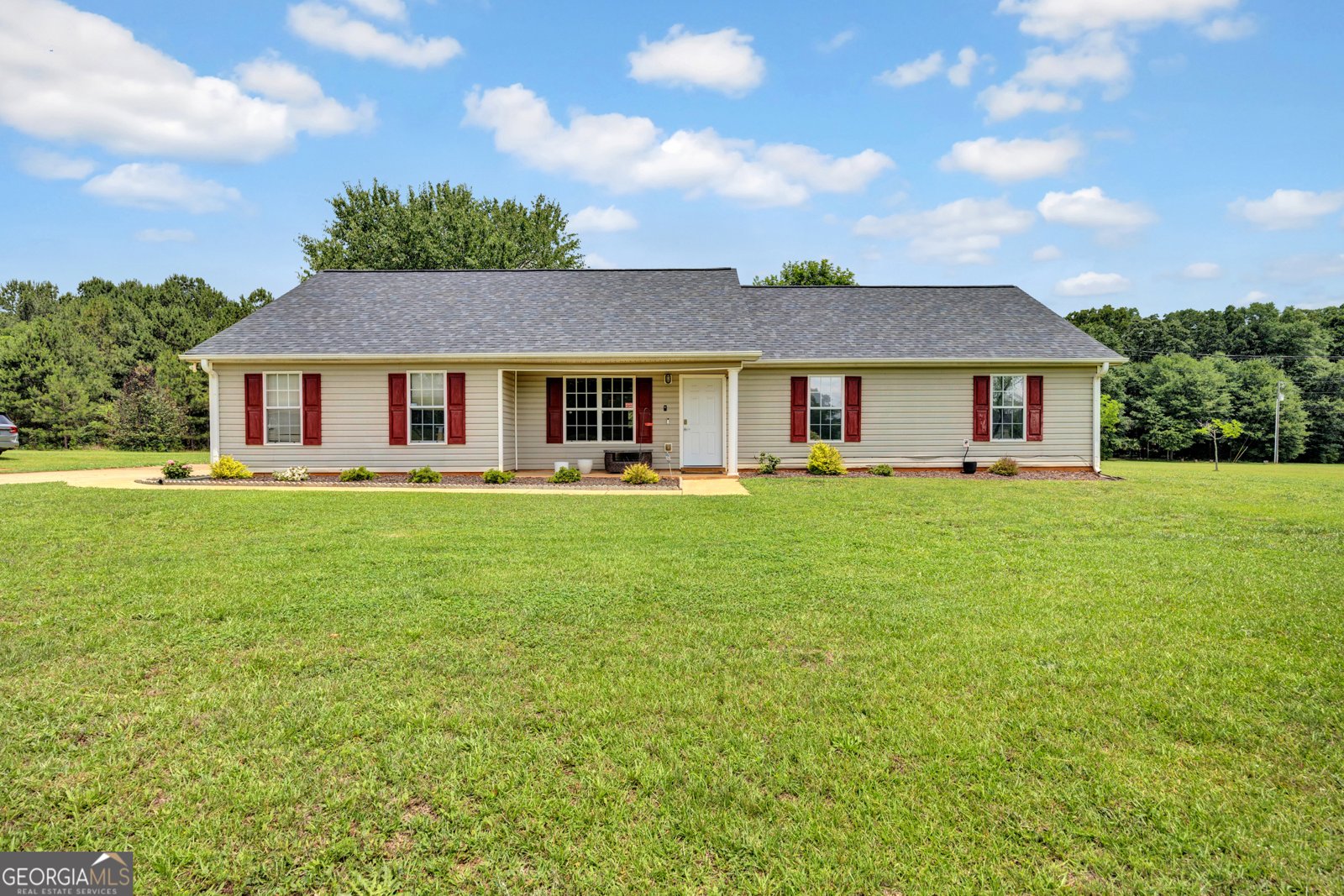 293 Snapping Shoals Road McDonough - main photo