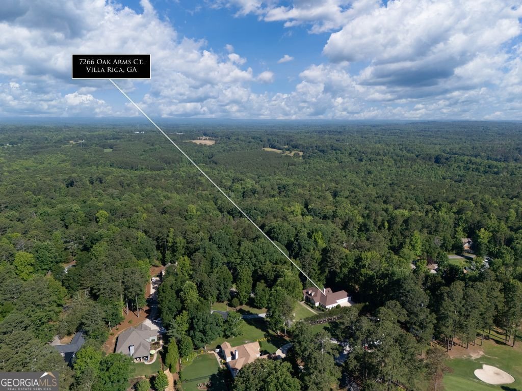 7266 Oak Arms Drive Villa Rica - Photo 49