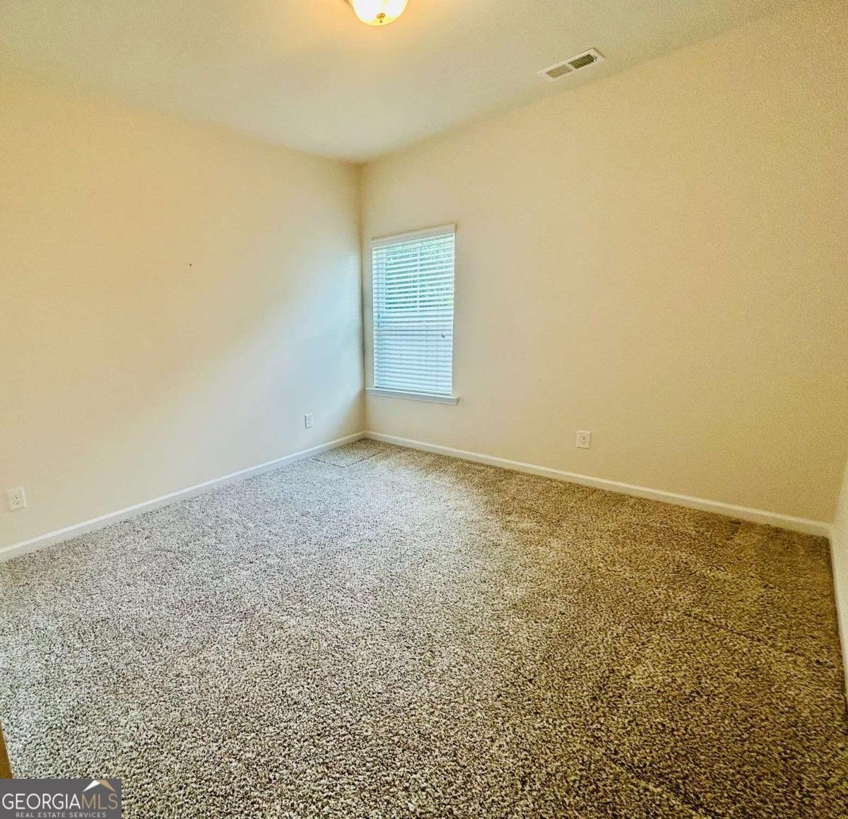 294 Orange Circle Dawsonville - Photo 11