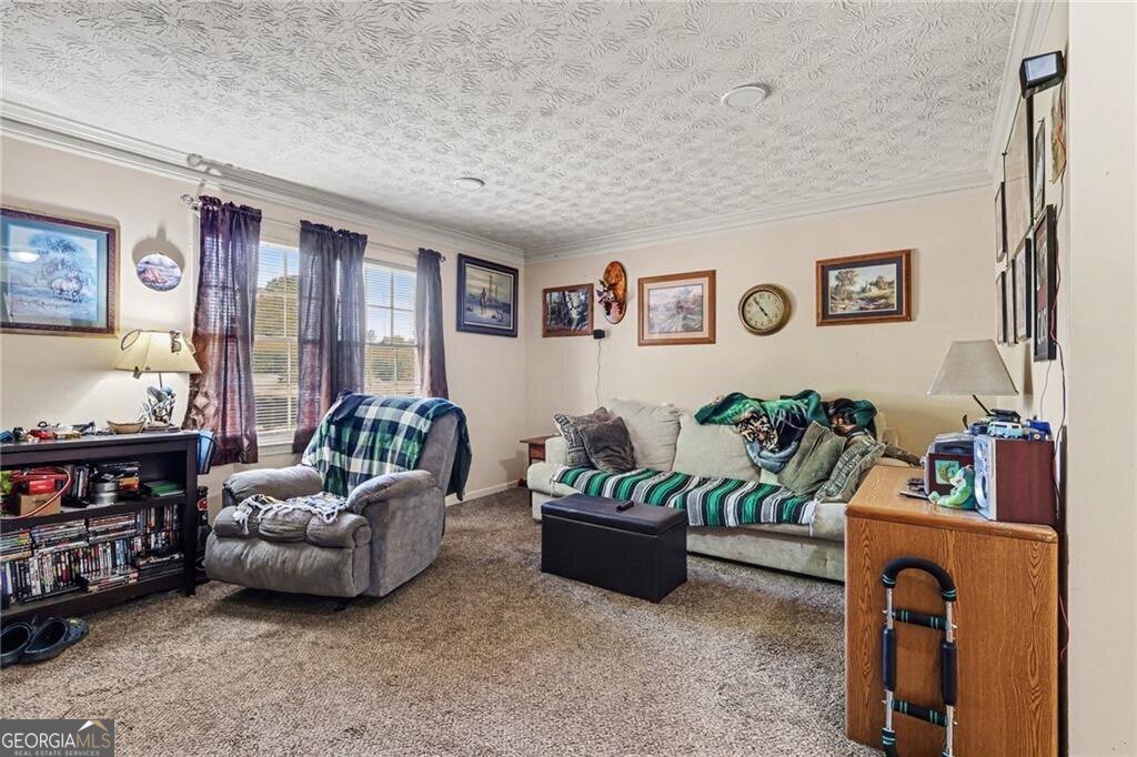 231 Scarlet Way Lawrenceville - Photo 11