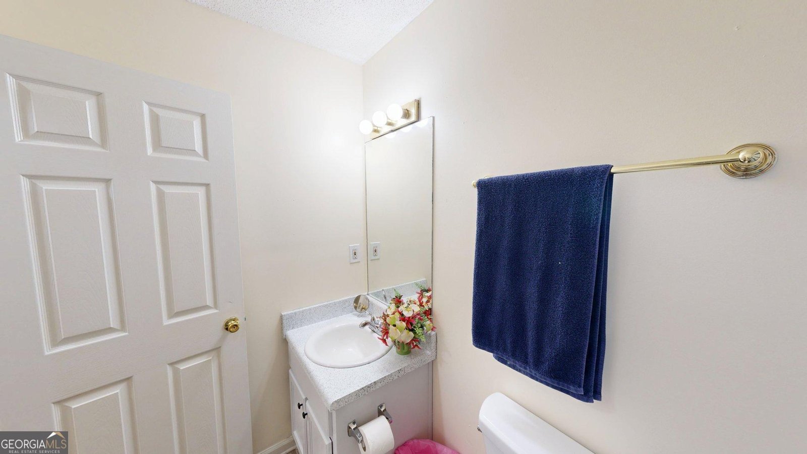 179 Country Cottage Circle Carrollton - Photo 20